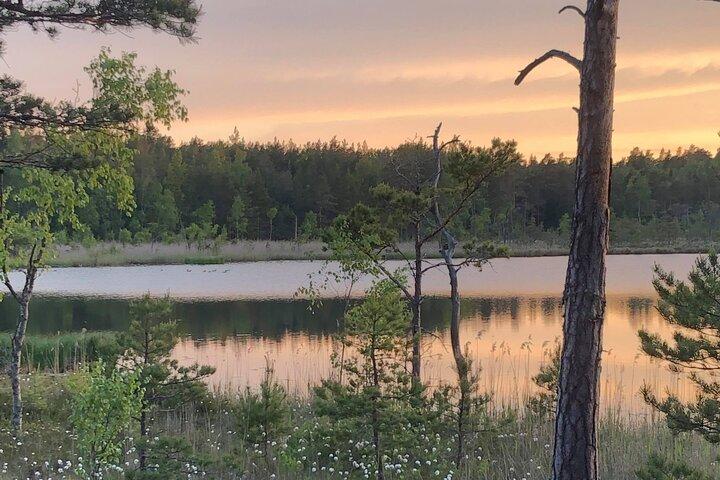 Midnight Sun Hike & Campfire Wild Dinner i - Parque Nacional Tyresta