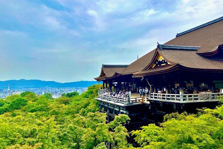 Kyoto 1 Day Charter Car Tour von Osaka oder Kyoto