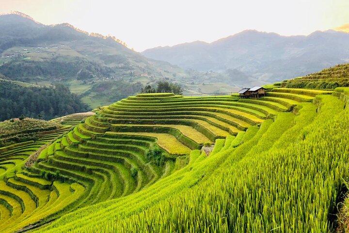 3 - Dia Sapa Adventure: Terras de trekking e aldeias da tribo Hill