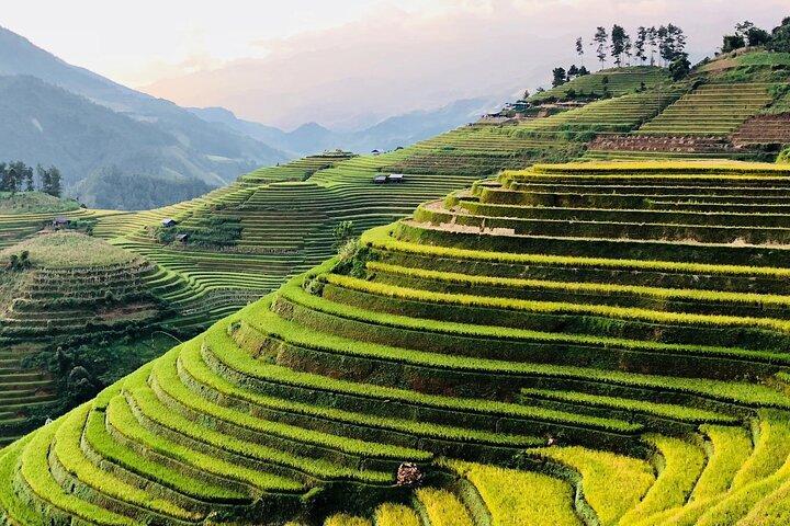 3 - Dia Sapa Adventure: Terras de trekking e aldeias da tribo Hill