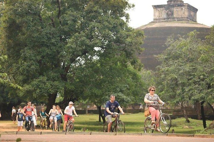 パシクダまたはカルクダ発ポロンナルワサイクリングプライベート日帰りツアー