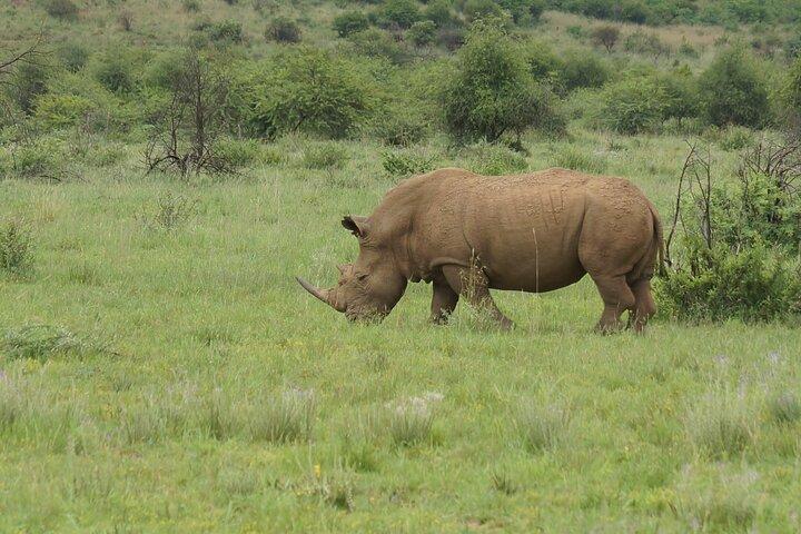Los mejores 3 días 2 noches Tanzania Private Budget Camping Safari