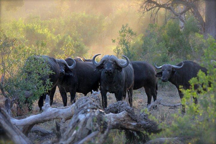 Los mejores 3 días 2 noches Tanzania Private Budget Camping Safari
