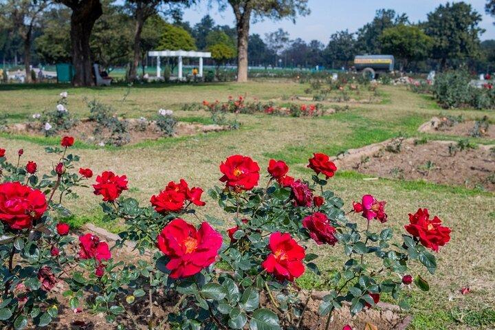 Punti salienti del Chandigarh (tour guidato della città di mezza giornata)