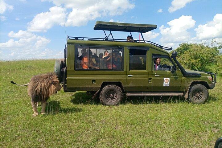3 dage, 2 nætter Masai Mara Kenya Safari fra Nairobi