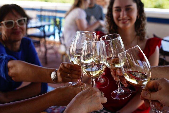 Albufeira Wine Tasting : Weingut-Tour & historische Silben
