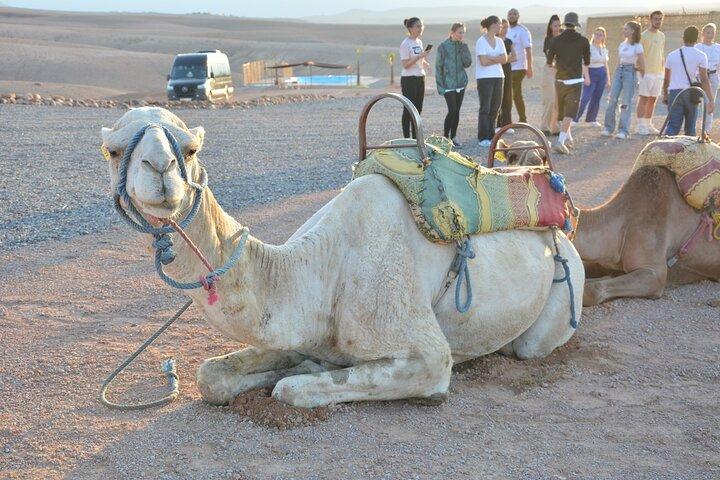 Marrakesh: Agafay Desert Sunset, Camel Ride, and Dinner Show