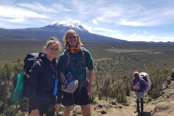 9 Dages Northern Circuit Route Kilimanjaro Private Expedition