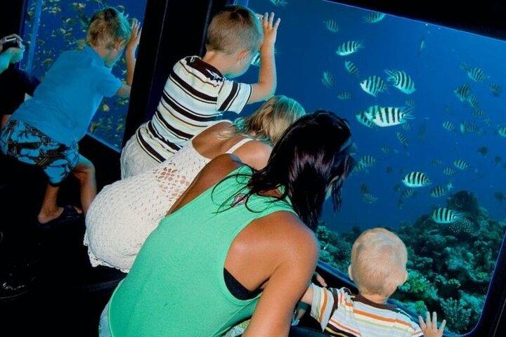 Barco com fundo de vidro em Sharm El Sheikh