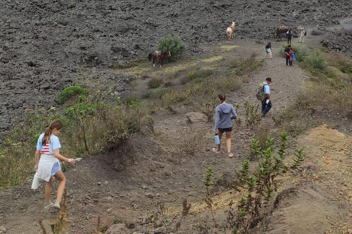 Pacaya Volcano Excursion fra Guatemala City