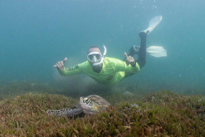 San Juan Snorkeling Tour with Fish and Turtles