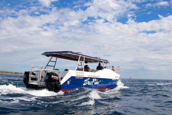Bay Trip e o Arco de Cabo San Lucas