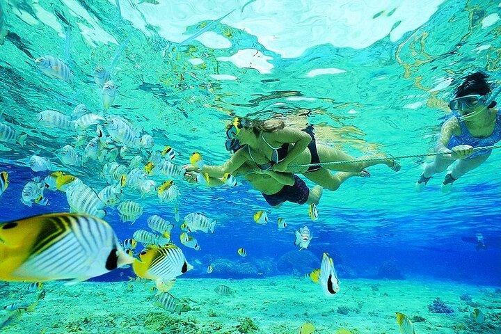 Marsa Mubarak Snorkeling Adventure with Optional Diving