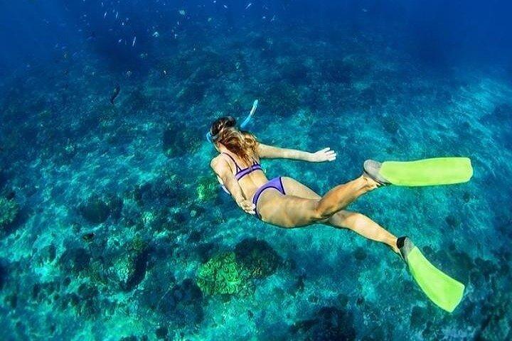 Excursion de plongée en apnée sur l'île Hamata au départ de Marsa Alam