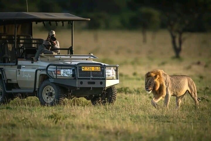 2 Days 1 Night Safari to Selous Game Reserve From Zanzibar