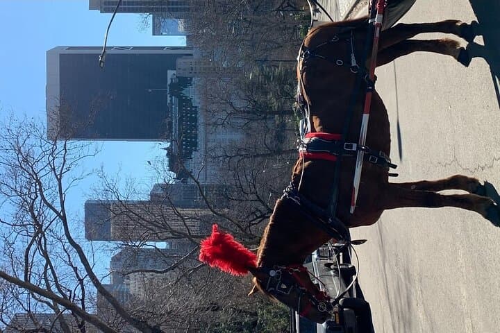 NYC Empire State Horses Carriage Ride in Central Park (45 Mins)