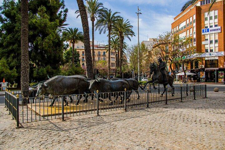 Visite guidée privée des arènes et du musée d'Alicante