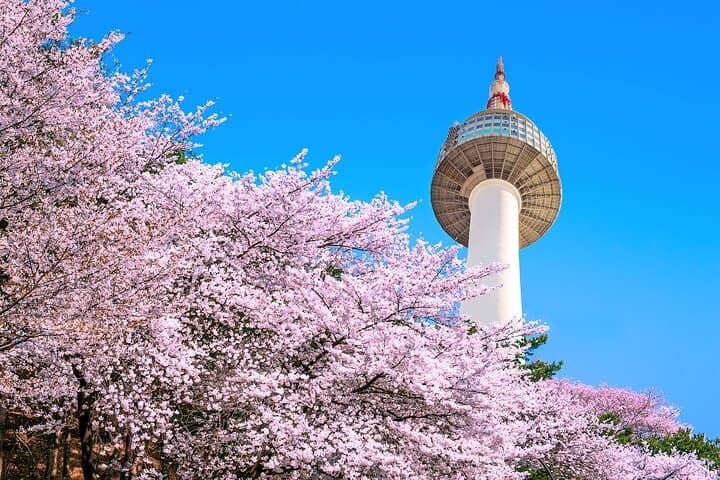 N Seoul Tower Observatory Ticket South Korea