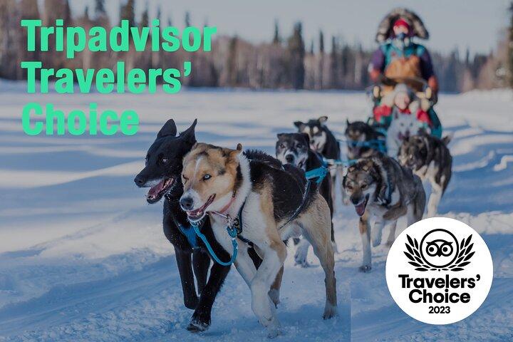 Trineo tirado por perros privado con guía en el histórico Yukon Quest Trail