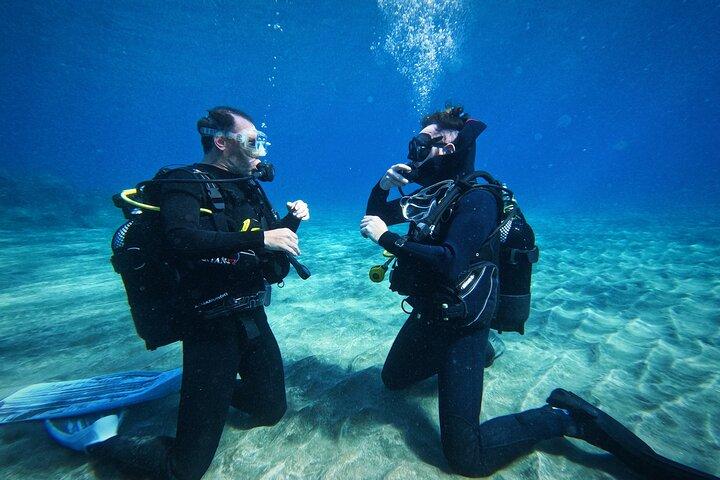 Learn Scuba Diving in Tenerife with Photos Included