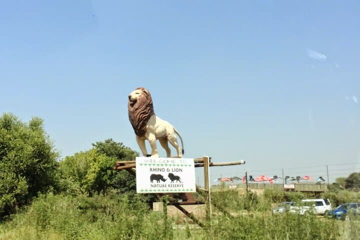 Rhino and Lion Park Safari Tour