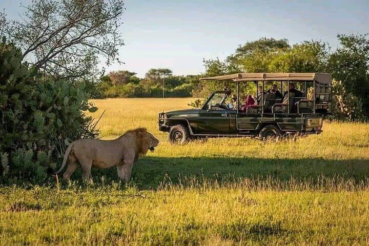 2 Days 1 Night Safari to Selous Game Reserve From Zanzibar