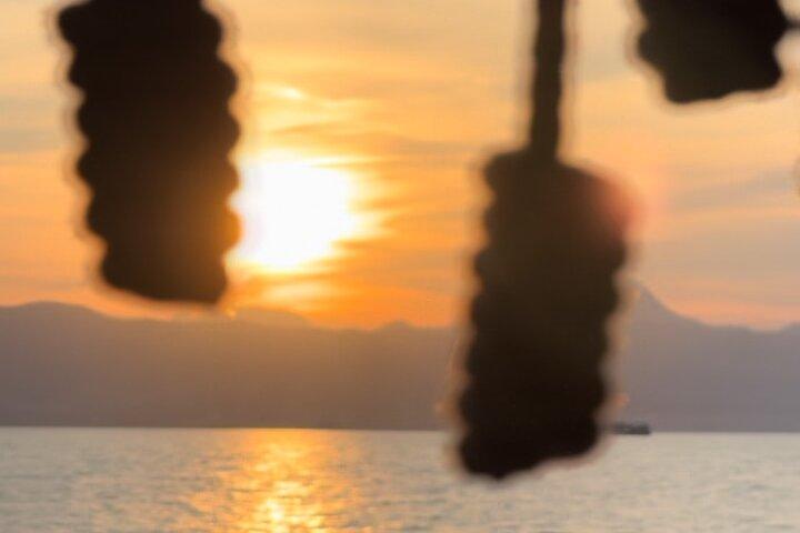 3-timers sejltur ved solnedgang i Palma-bugten