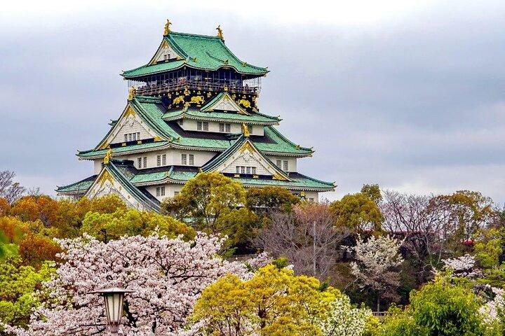 Osaka måste-se och gömda pärlor Walking Tour med en guide