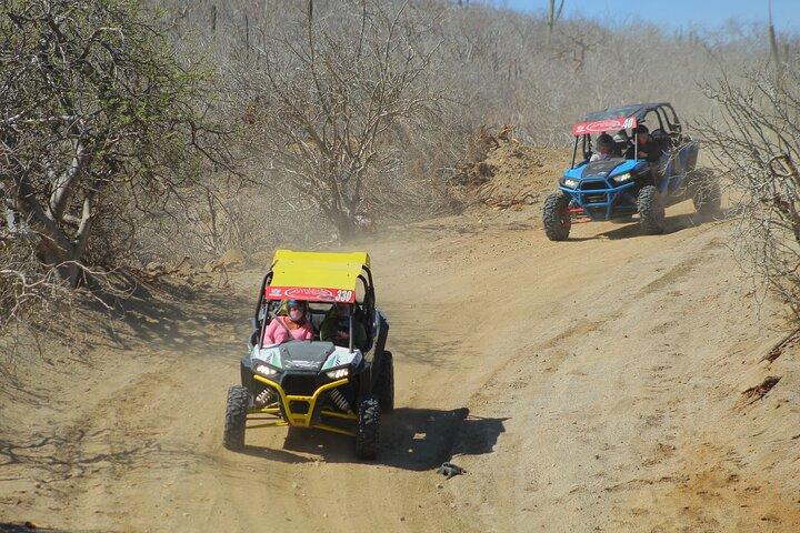 Los Cabos UTV strand- en woestijntour met tequila-proeverij en transfer