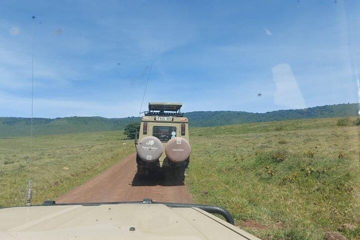 Day Trip to Ngorongoro Crater from Arusha Town Shared Tour