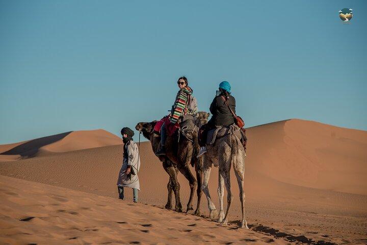Marrakech, deserto di Merzouga e Fes 3 - tour di un giorno + Hotel e campeggio