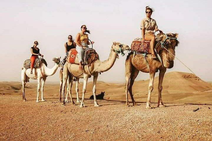 Magical Sunset Camel Ride with Moroccan Dinner in Agafay Desert