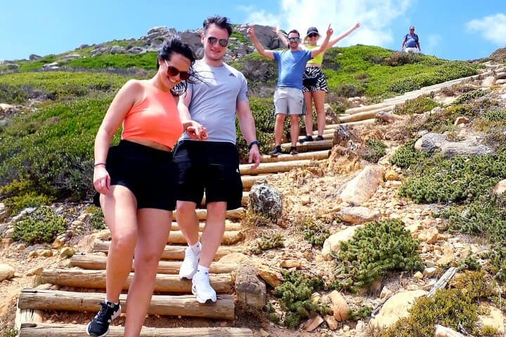 Penguins Cape of Good Hope, Cape Point Private Tour