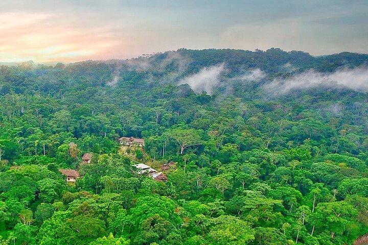 Fördjupa dig i Huaorani-kulturen | 3 dagars regnskogstur från Quito