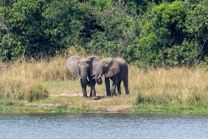 12 daagse Parel van Afrika Natuur en Wildlife Experience
