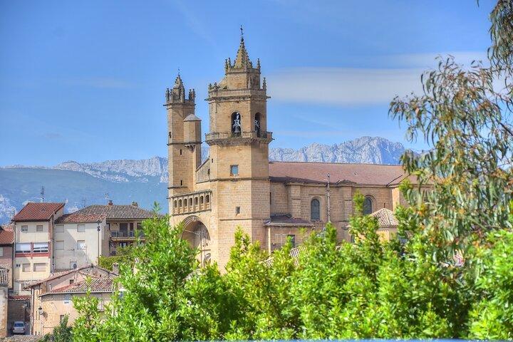 Excursão privada de vinho de dia inteiro em Rioja