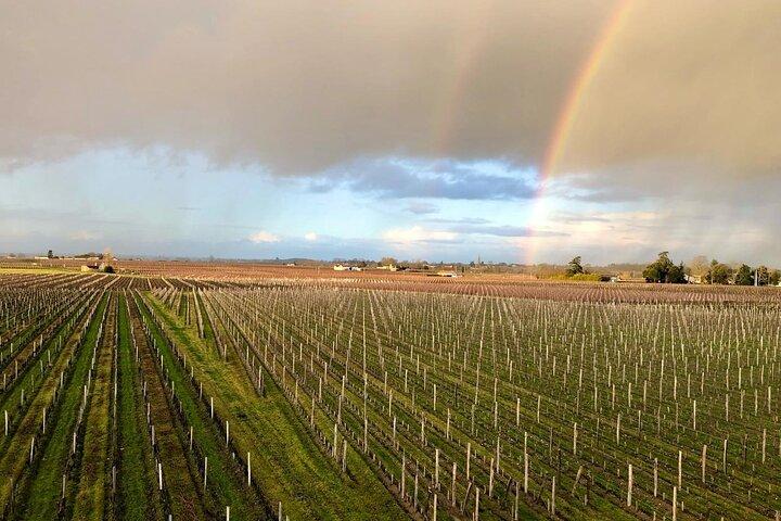 Saint Emilion och Médoc Vineyard Day Tour