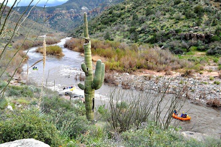 Klassisk Salt River Raft Trip