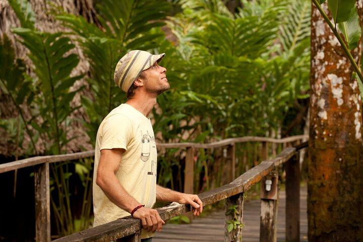 3-Day Iquitos Amazon Jungle Adventure em Ceiba Tops Lodge