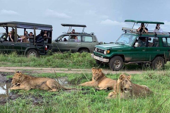 Queen Elizabeth National Park i Uganda 3 dages safaritur