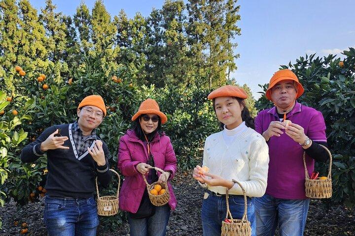 Excursão privada de táxi Jumbo à ilha de Jeju com Mr.Hong a oeste de Jeju