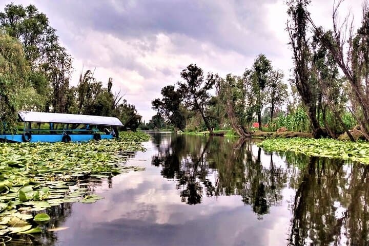 Explore Xochimilco’s Canals, Markets, Art & Anahuacalli Museum