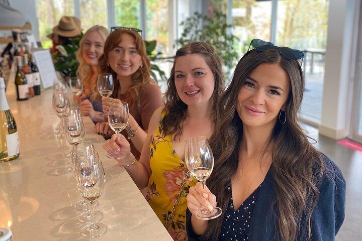 Tour guiado de vino de día completo por Sparkling Hill con 5 bodegas