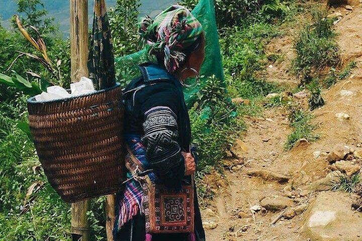 Experimente o trekking no vale da montanha de Sapa