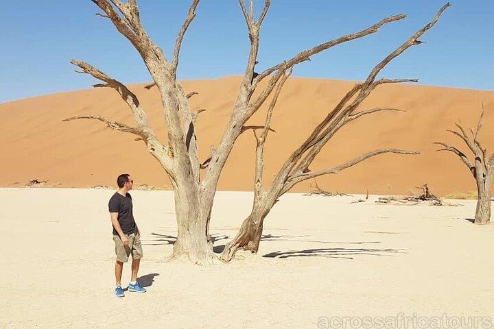 5 jours / 4 nuits aventure namibienne (confort)