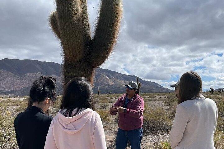 Aventure nordique de 6 jours : de Salta à Jujuy
