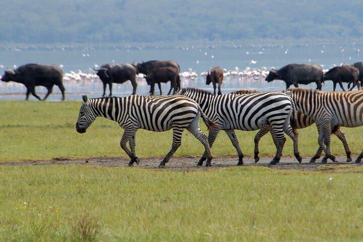 8 Days Kenya and Tanzania Driving Safari Holiday