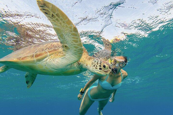 Snorkeling com Turtle/Water Scooter/Paddleboard Adventures Oahu