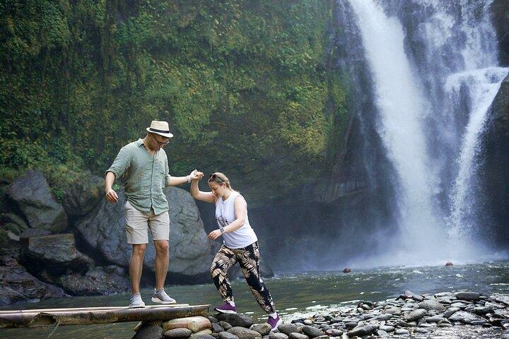 Il meglio di Ubud: cascata, tempio, foresta delle scimmie e terrazza del riso