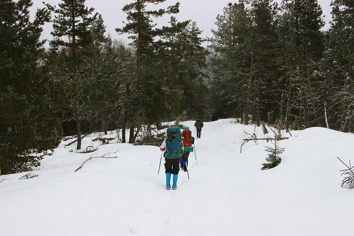 2-daagse wandeltocht: Snow Shoes Trail
